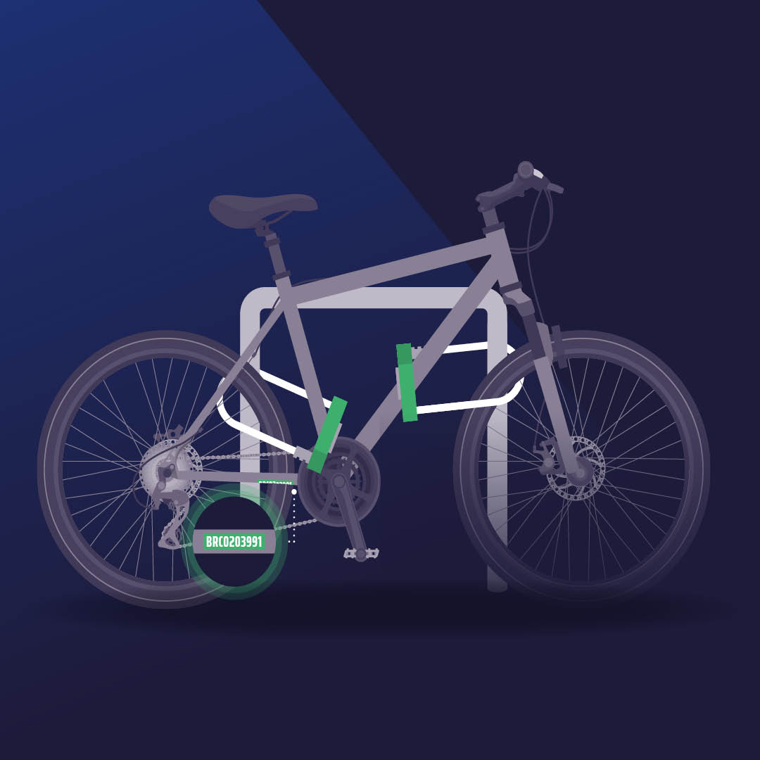 bike-with-two-d-locks.jpg
