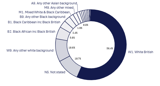 April 2026 24m 18+1 ethnicity graph .png