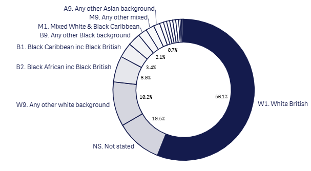 24m 18+1 ethnicity graph aug 2026.png