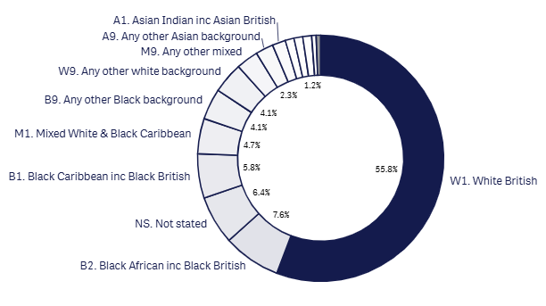Last month 18+1 ethnicity graph aug 2026.png
