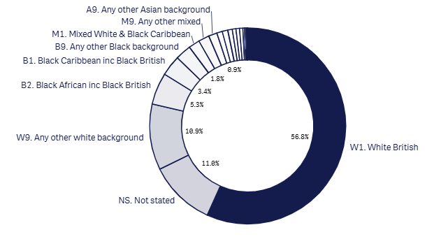 24m 18+1 ethnicity graph - Dec 2025.png