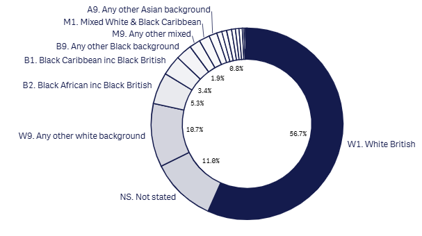 Feb 2026 24m 18+1 ethnicity graph .png