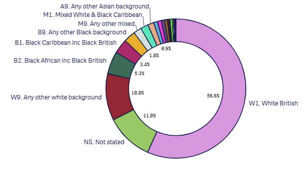 24m 18+1 ethnicity graph - jan 2026.png