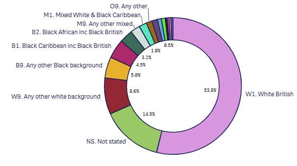 Last month 18+1 ethnicity graph- jan 2026.png