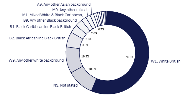 24m 18+1 ethnicity graph - July 2026.png
