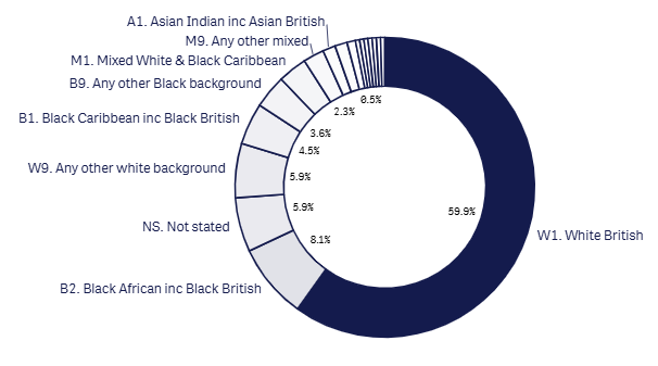 Last month 18+1 ethnicity graph- July 2026.png
