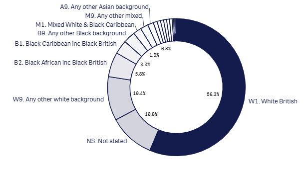 24m 18+1 ethnicity graph - June 2026.png