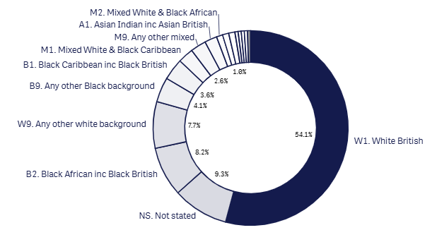 Last month 18+1 ethnicity graph - June 2026.png