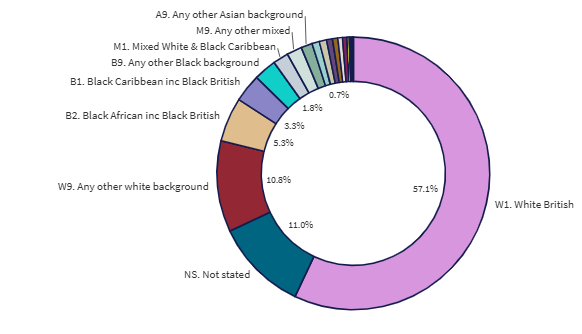 24m 18+1 ethnicity graph.png