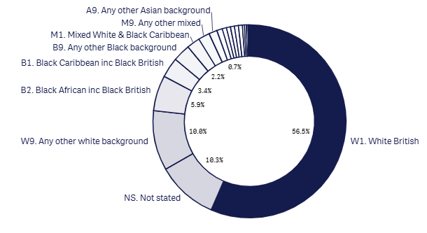 24m 18+1 ethnicity graph Sept 2026.png