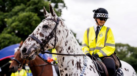 Volunteers on Horseback