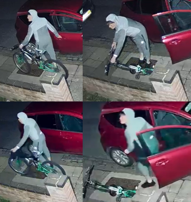 car theft