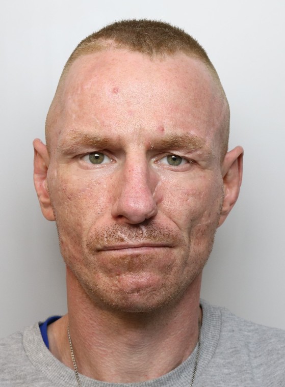 David-McMenamin