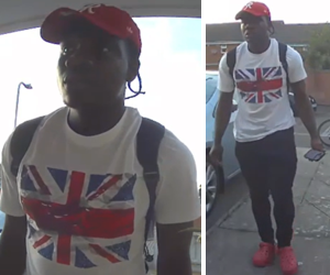 cctv-theft-briar-hill