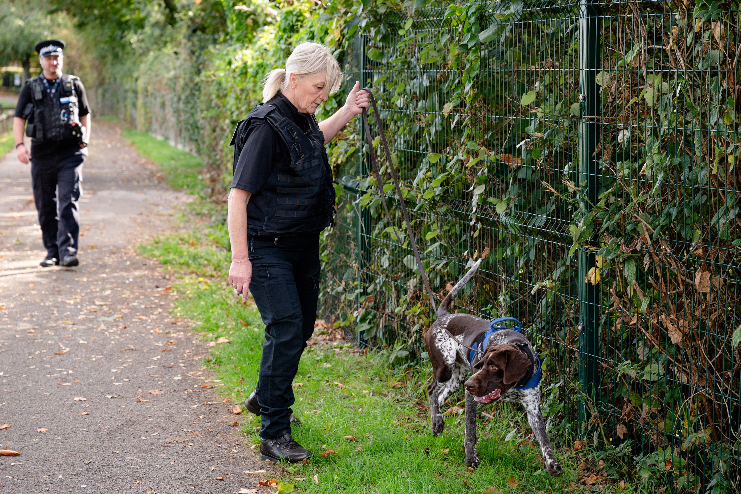 Knife detection dog helps remove weapons from Rushden's streets ...
