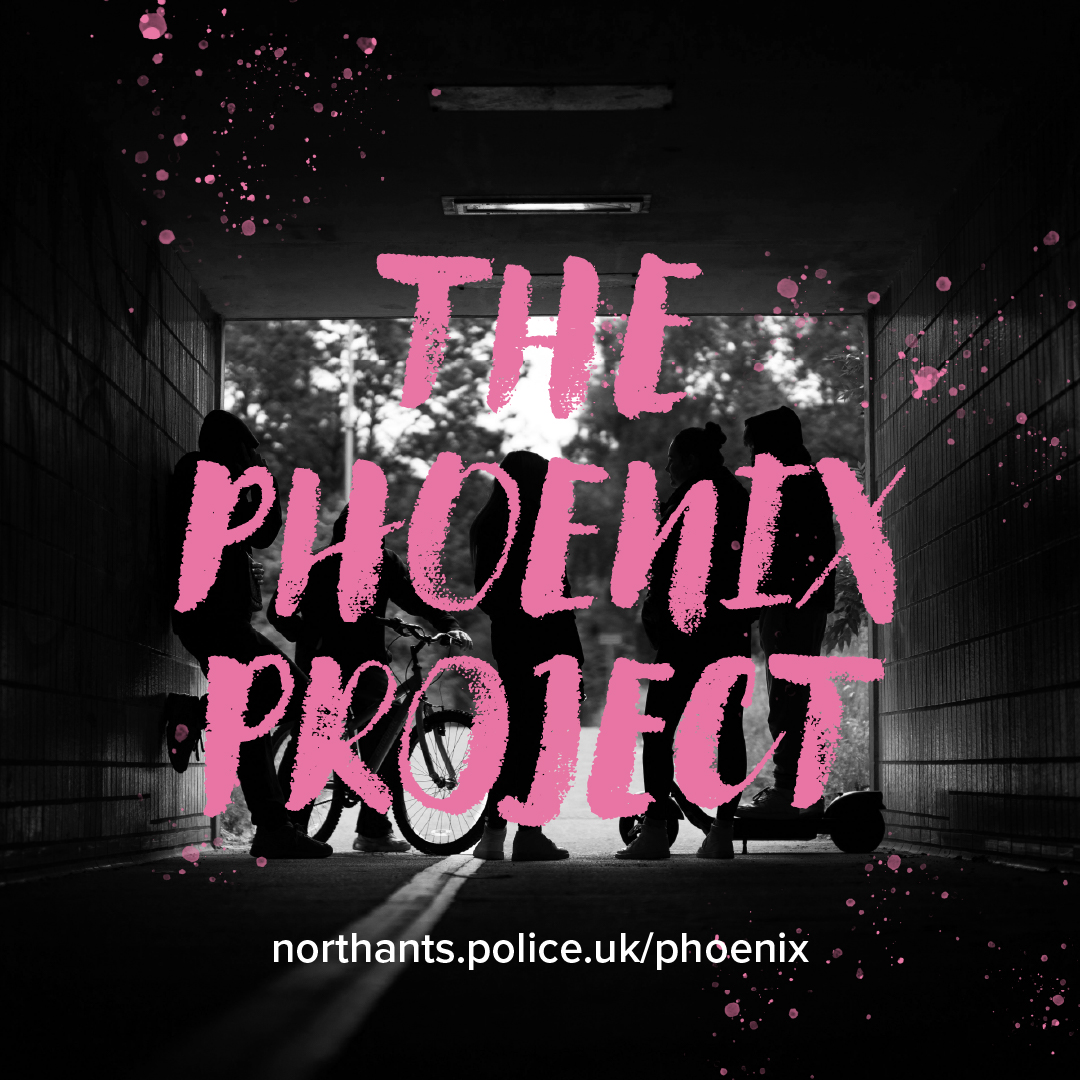 The Phoenix Project