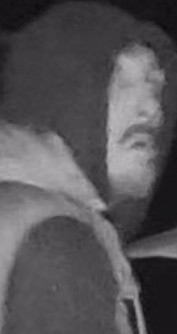 CCTV-theft-Hodder-Street